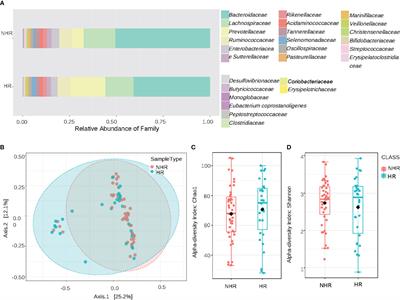 High-risk genotypes for type 1 diabetes are associated with the imbalance of gut microbiome and serum metabolites